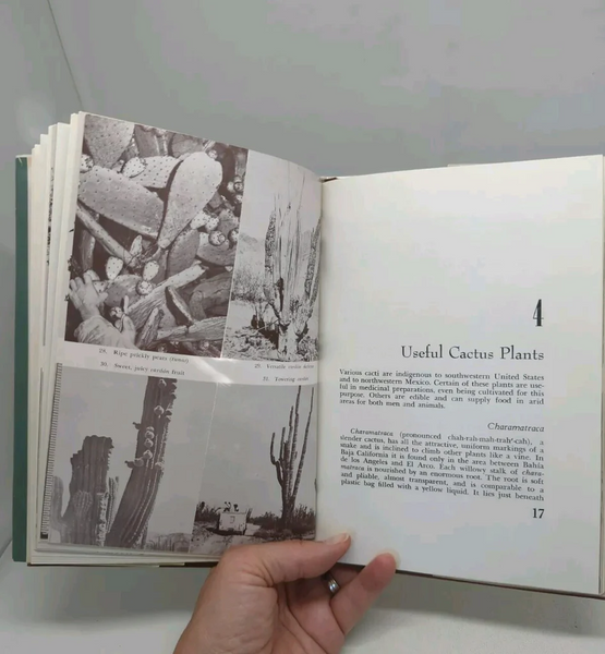 FUND RAISER - Desert Plants and People by Sam Hicks 1966 First Edition Hard Cover Dust Jacket - RARE & WONDERFUL WORK!