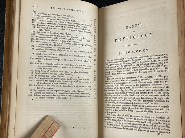 1857 Manual of Physiology Kirkes, Medical Leather Bound Heart Brain Vision Illus., Very Good Copy Of Rare Work!