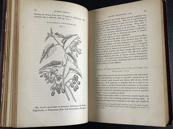 1876 Materia Medica, Biddle, Medicinal Plants, Poison Antidotes, etc. - Very Good Condition of Scarce Work