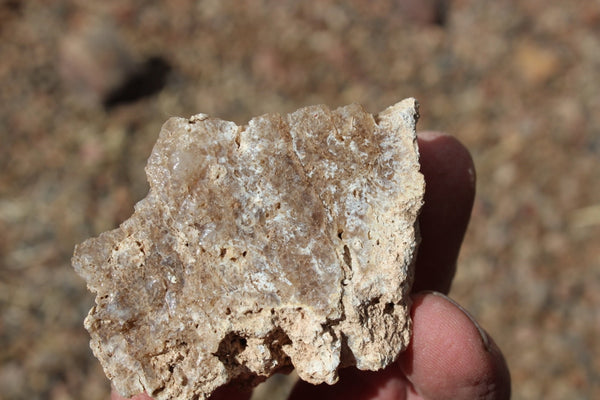 FUND RAISER - MINERAL - BEAUTIFUL - Rare - ARIZONA OPAL -Stunning Specimens LOT # 3 - 1 Pound - OPAL has Amazing Healing Properties!  Sleep with a Piece of Opal by Your Bed and Wake-up Renewed!
