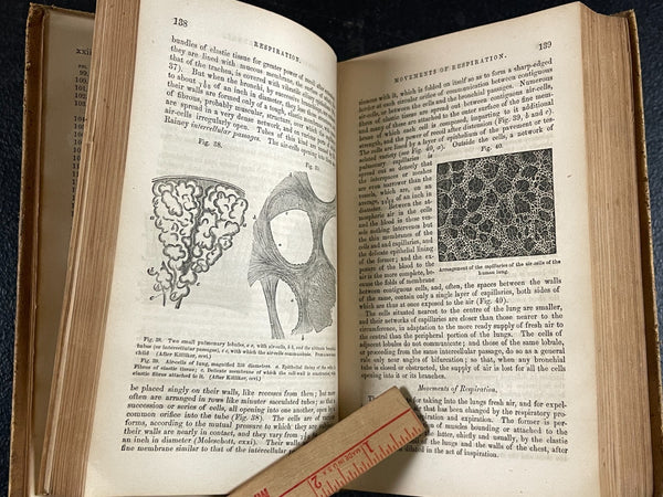 1857 Manual of Physiology Kirkes, Medical Leather Bound Heart Brain Vision Illus., Very Good Copy Of Rare Work!