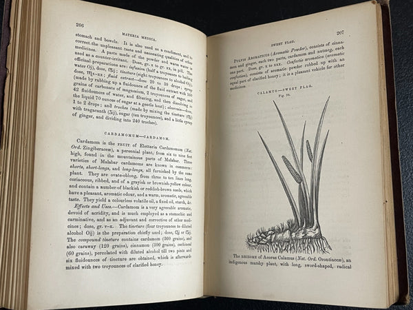 1876 Materia Medica, Biddle, Medicinal Plants, Poison Antidotes, etc. - Very Good Condition of Scarce Work