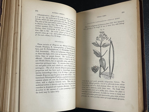 1876 Materia Medica, Biddle, Medicinal Plants, Poison Antidotes, etc. - Very Good Condition of Scarce Work