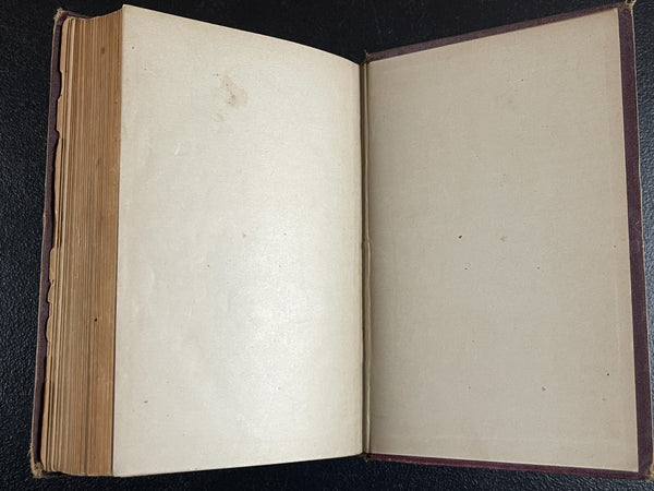 1876 Materia Medica, Biddle, Medicinal Plants, Poison Antidotes, etc. - Very Good Condition of Scarce Work