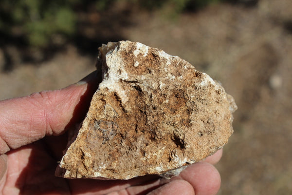 Fund Raiser - MINERAL - BEAUTIFUL - Rare Locality - ARIZONA OPAL - Stunning Specimen #8 - Keep A Piece Of Opal Near Your Bed and Experience Amazing Dreams and Healing!