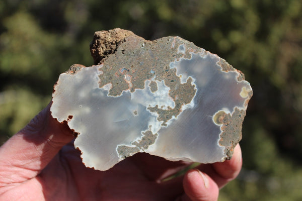 FUND RAISER - BEAUTIFUL - MINERAL - LUNA AGATE - Catron County, New Mexico - NICE!