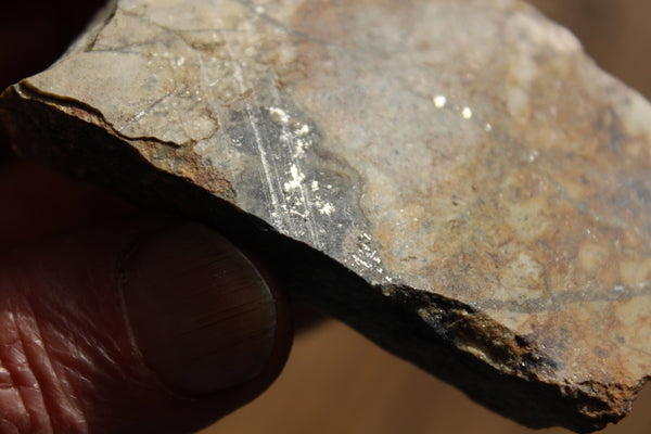 FUND RAISER - MINERAL NATIVE SILVER Very Rare Locality New Mexico 84 gram Specimen