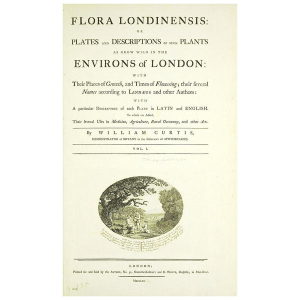 Rare 1818 CURTIS FLORA LONDINENSIS MATTED Hand-Color Folio Engraving, NETTLE