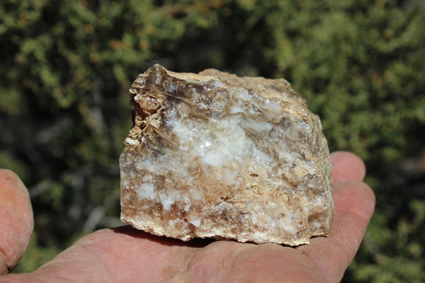 Fund Raiser - MINERAL - BEAUTIFUL - Rare Locality - ARIZONA OPAL - Stunning Specimen #10 - Keep A Piece Of Opal Near Your Bed and Experience Amazing Dreams and Healing!