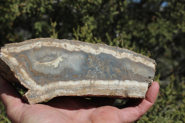 Fund Raiser - BEAUTIFUL - MINERAL - LUNA AGATE - Catron County, New Mexico -
