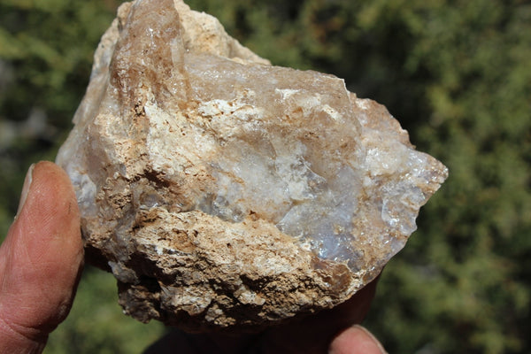 Fund Raiser - MINERAL - BEAUTIFUL - Rare Locality - ARIZONA OPAL - Stunning Specimen #7