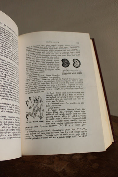 A MANUAL OF MATERIA MEDICA & PHARMACOLOGY Culbreth FINE  An IMPORTANT Work