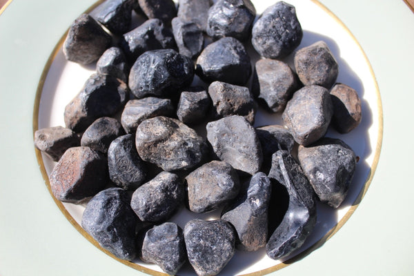 ROCK CLUB MEMBERSHIP -- Every 3 Months Receive a Shipment  of Unique Specimens! SUPERB PIECES - Fossils, Agates, Azurite, Opal, Silver Ore, and MUCH MORE