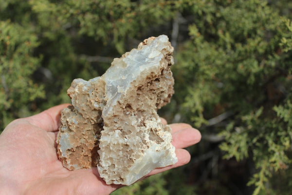 Fund Raiser - BEAUTIFUL - MINERAL - LUNA AGATE - Catron County, New Mexico -