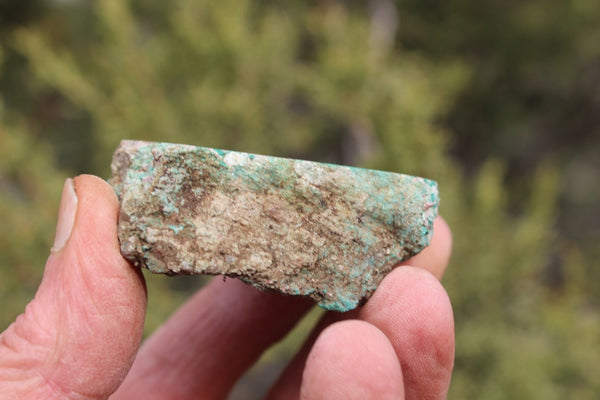 Fund Raiser - MINERAL Lovely MALACHITE Specimen From Santa Rita Mine, New Mexico