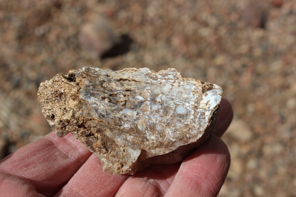 FUND RAISER - MINERAL - BEAUTIFUL - Rare - ARIZONA OPAL -Stunning Specimens LOT # 3 - 1 Pound - OPAL has Amazing Healing Properties!  Sleep with a Piece of Opal by Your Bed and Wake-up Renewed!