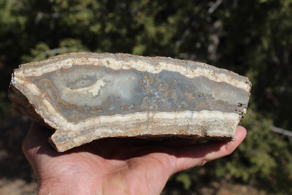 Fund Raiser - BEAUTIFUL - MINERAL - LUNA AGATE - Catron County, New Mexico -