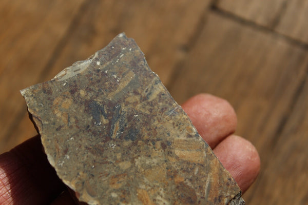 FUND RAISER - MINERAL NATIVE SILVER Very Rare Locality New Mexico 84 gram Specimen