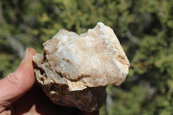 Fund Raiser - MINERAL - BEAUTIFUL - Rare Locality - ARIZONA OPAL - Stunning Specimen #7