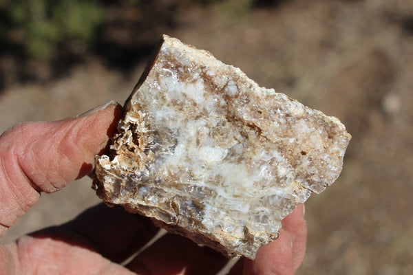 Fund Raiser - MINERAL - BEAUTIFUL - Rare Locality - ARIZONA OPAL - Stunning Specimen #8 - Keep A Piece Of Opal Near Your Bed and Experience Amazing Dreams and Healing!