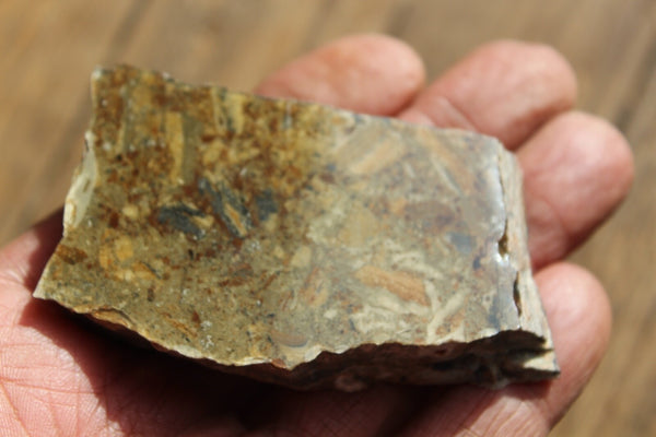 FUND RAISER - MINERAL NATIVE SILVER Very Rare Locality New Mexico 84 gram Specimen