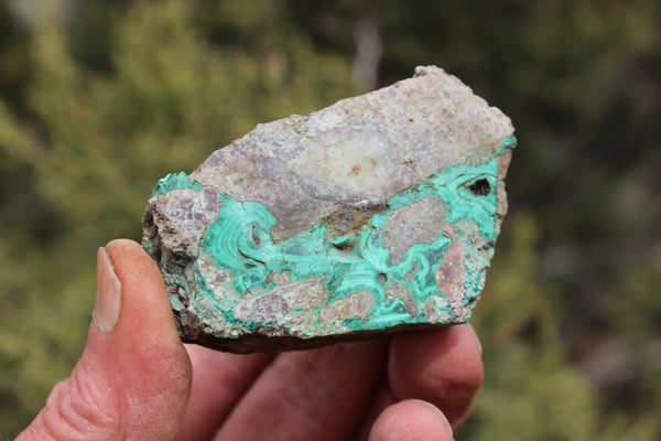Fund Raiser - MINERAL Lovely MALACHITE Specimen From Santa Rita Mine, New Mexico