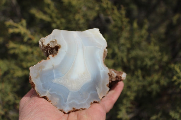 Fund Raiser - BEAUTIFUL - MINERAL - LUNA AGATE - Catron County, New Mexico -