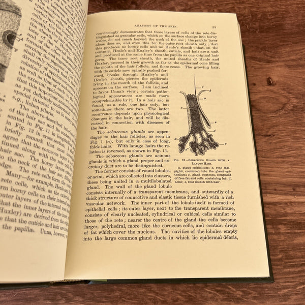 The Classics of Medicine Library "Diseases of the Skin" Moriz Kaposi Leather Bound Reprint of 1895 Classic Work