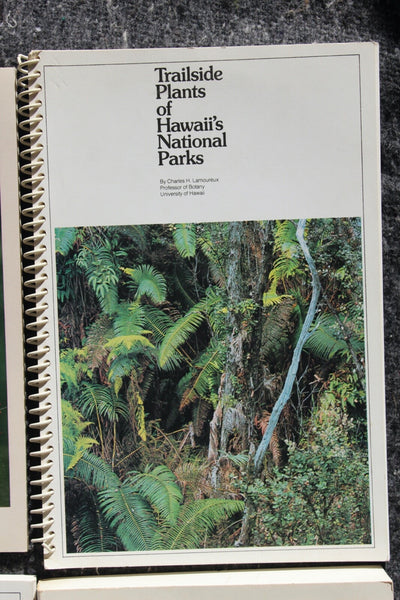 Ethnobotany Herbal Medicine Nature Health - 4 Book Lot For One Great Price #11