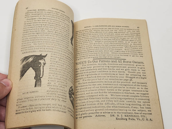 A Treatise on the Horse and His Diseases Illustrated Veterinary Guide 1907