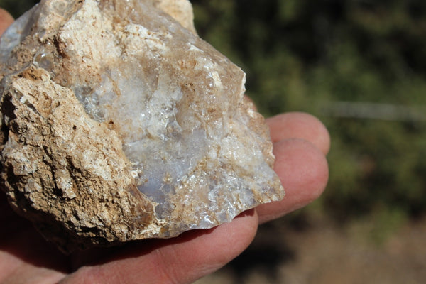 Fund Raiser - MINERAL - BEAUTIFUL - Rare Locality - ARIZONA OPAL - Stunning Specimen #7