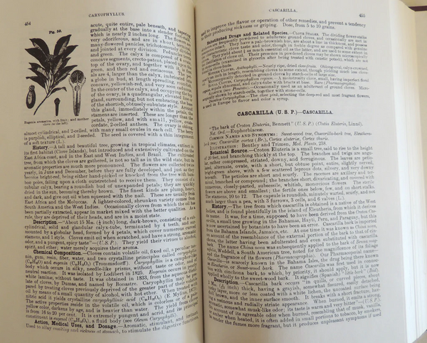SPECIAL SPECIAL FUND RAISER - KING'S AMERICAN DISPENSATORY volume 1 & 2 1984 2nd printing, THE CORNERSTONE !!