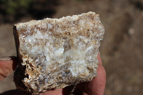 Fund Raiser - MINERAL - BEAUTIFUL - Rare Locality - ARIZONA OPAL - Stunning Specimen #8 - Keep A Piece Of Opal Near Your Bed and Experience Amazing Dreams and Healing!