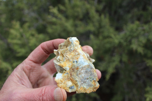 Fund Raiser - MINERAL GOLD ORE From Historic & Rare Site - PACIFIC MINE - W.R. Hearst #18