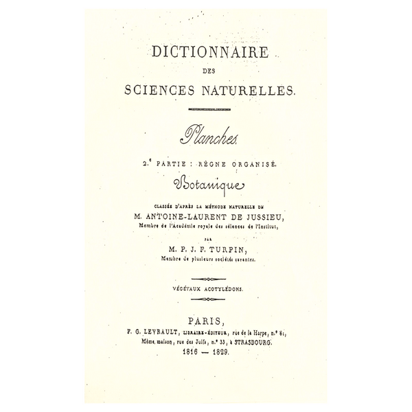 Rare 1816 Turpin Hand-Colored Engravings Dictionnaire Sciences, Betula (Birch)