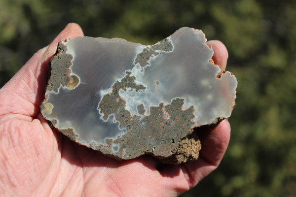 FUND RAISER - BEAUTIFUL - MINERAL - LUNA AGATE - Catron County, New Mexico - NICE!
