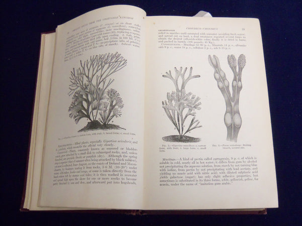 1917 MATERIA MEDICA AND PHARMACOLOGY BOOK MANUAL 6TH EDN - CULBRETH   Hardcover - EXCELLENT REFERENCE