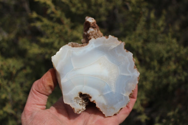 Fund Raiser - BEAUTIFUL - MINERAL - LUNA AGATE - Catron County, New Mexico -