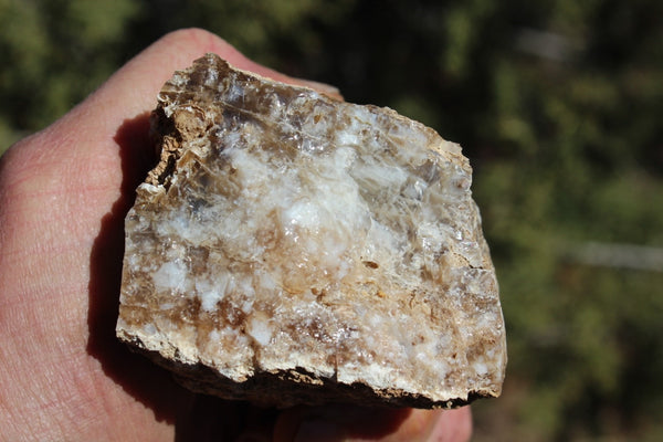 Fund Raiser - MINERAL - BEAUTIFUL - Rare Locality - ARIZONA OPAL - Stunning Specimen #10 - Keep A Piece Of Opal Near Your Bed and Experience Amazing Dreams and Healing!