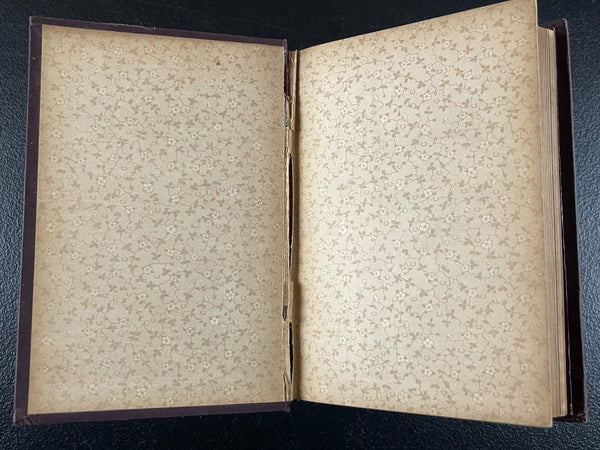 1888   Wife and Mother, Women's Health, Pregnancy, Maternity, Unique Medical Book