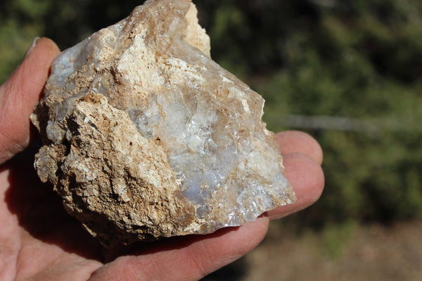 Fund Raiser - MINERAL - BEAUTIFUL - Rare Locality - ARIZONA OPAL - Stunning Specimen #7