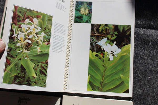 Ethnobotany Herbal Medicine Nature Health - 4 Book Lot For One Great Price #11