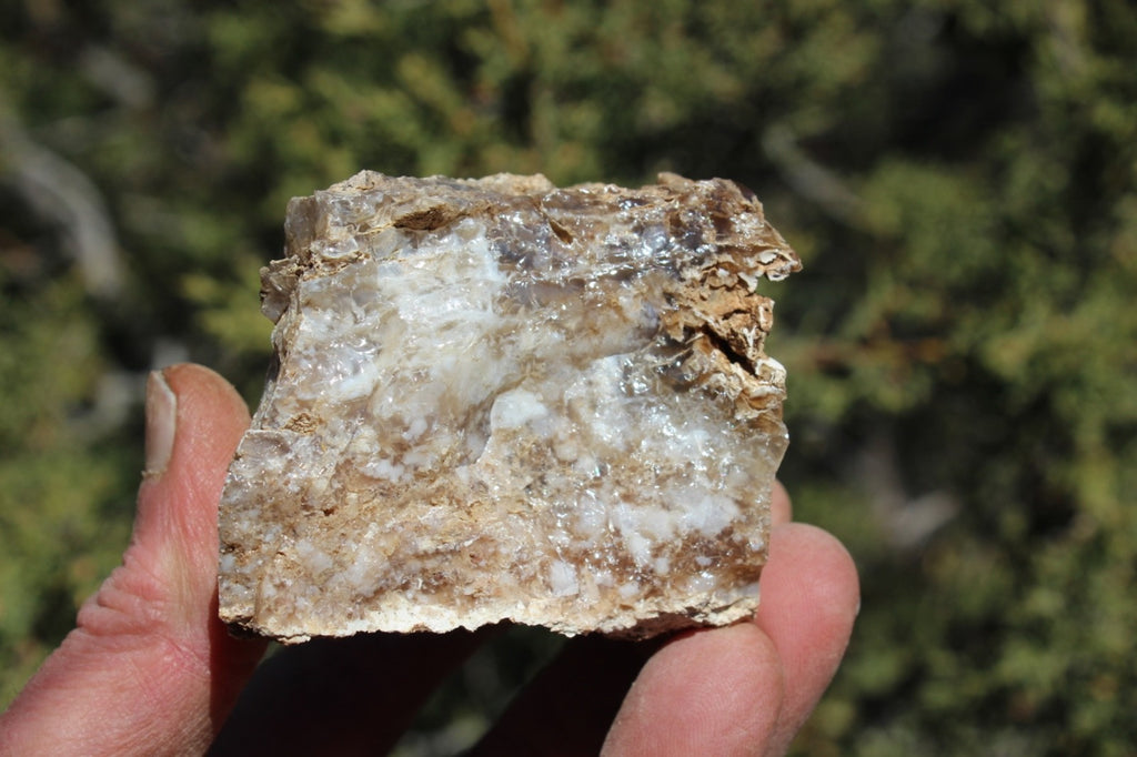 Fund Raiser - MINERAL - BEAUTIFUL - Rare Locality - ARIZONA OPAL - Stunning Specimen #8 - Keep A Piece Of Opal Near Your Bed and Experience Amazing Dreams and Healing!