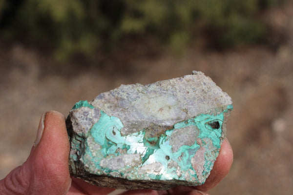 Fund Raiser - MINERAL Lovely MALACHITE Specimen From Santa Rita Mine, New Mexico