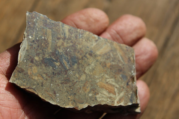 FUND RAISER - MINERAL NATIVE SILVER Very Rare Locality New Mexico 84 gram Specimen