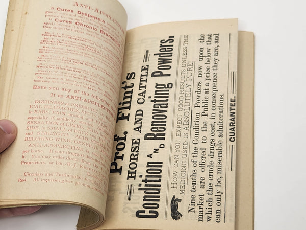 A Treatise on the Horse and His Diseases Illustrated Veterinary Guide 1907