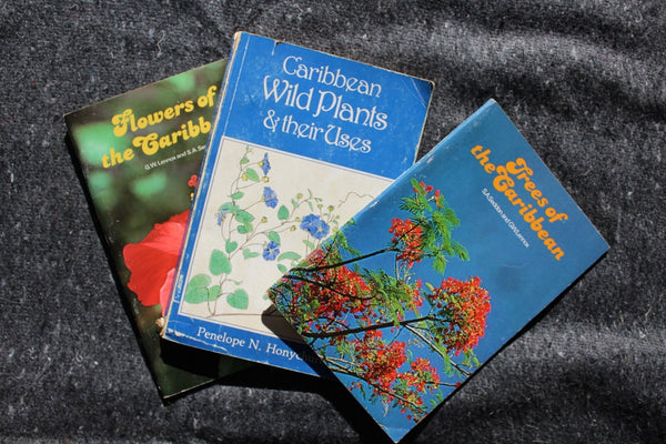 Ethnobotany Herbal Medicine Nature Health - 3 Book Lot For One Great Price #4