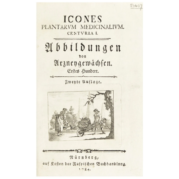 SPECIAL FUND RAISER - Scarce 1796 ZORN ICONES PLANTARUM Botanical Engraving Pl. 168 CARLINA ACAUTIS