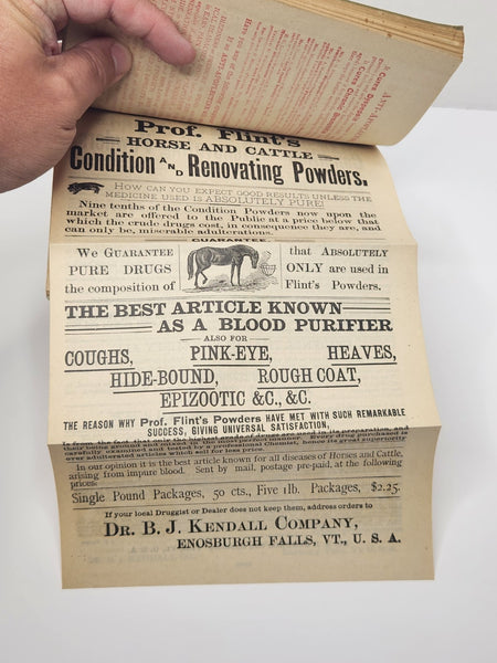 A Treatise on the Horse and His Diseases Illustrated Veterinary Guide 1907