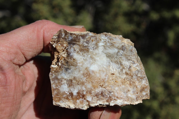 Fund Raiser - MINERAL - BEAUTIFUL - Rare Locality - ARIZONA OPAL - Stunning Specimen #10 - Keep A Piece Of Opal Near Your Bed and Experience Amazing Dreams and Healing!